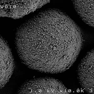 A close up image developed with an electron microscope