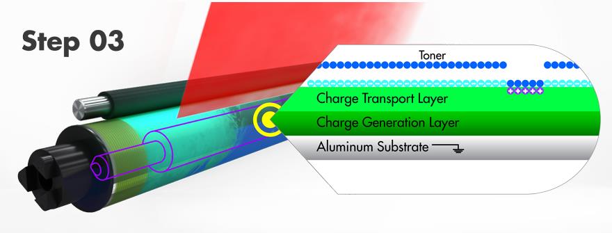 The toner being added to the OPC drum during the a color print job